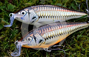 Fishing lures plugs Rapala Shallow Shad Raps photo