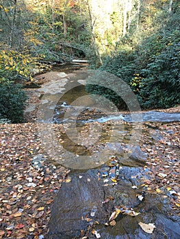 Shallow stream flowing through rocks and fallen leaves in colorful autumn forest