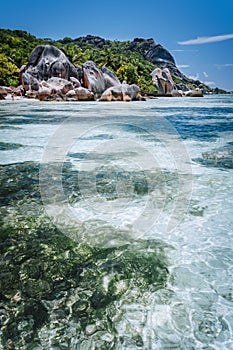 Shallow water with algal plants in front of unique Anse Source D'Argent tropical beach, La Digue Seychelles. Luxury