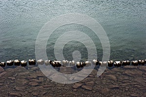 Shallow water on lake shore