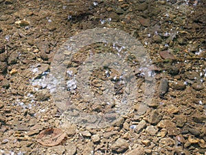 The shallow water of the mountain stream, very refreshing