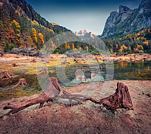 Shallow waters of Gosausee Vorderer lake with Dachstein glacier on background.