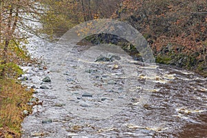 Shalow River Stream