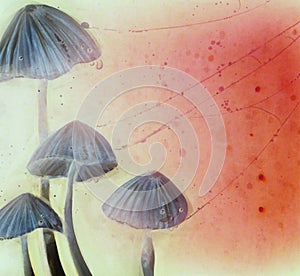 Shaman Sagely Watercolors Abstract Artistic Mushrooms