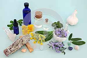 Shamanic Cleansing Ritual with Natural Plant Medicine