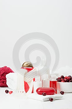 Shampoo, Soap Bar And Liquid. Toiletries, Spa Kit