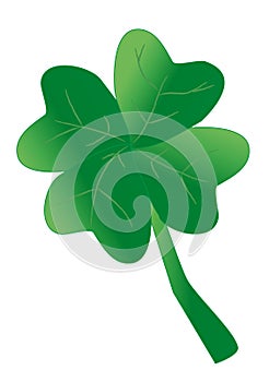 Shamrock as a symbol for luck