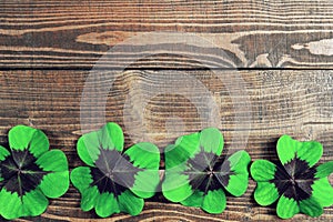 Shamrock border on wooden background with copy space