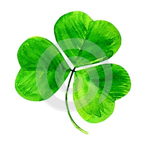 Shamrock, green clover three leaf, Patrick day symbol, isolated, hand drawn watercolor illustration on white background