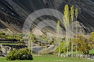 Shan Valley Himalaya landscape, Leh Ladakh, India