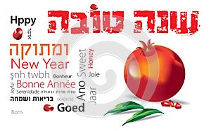 Shana tova Jewish pomegranate