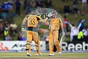 Shane Watson and Ricky Ponting