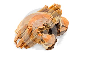 Shanghai hairy crab