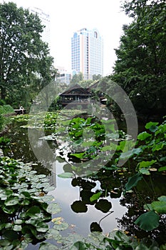 Shanghai skyscrapers and traditional China