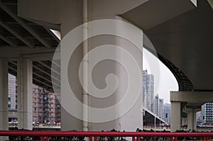 Shanghai urban elevated bridge pillars