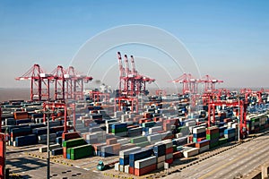 Shanghai Yangshan Deepwater Port Economic FTA container terminal crane lifting towers