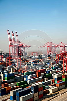 Shanghai Yangshan Deepwater Port Economic FTA container terminal crane lifting towers