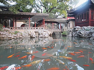 Shanghai yuyuan garden