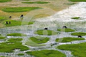 Shangri-La Ranch scenery