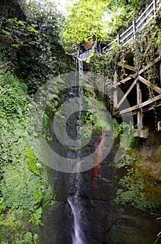 Shanklin Chine, Isle of Wight
