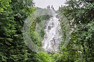 Shannon Falls near Squamish, BC, surrounded by trees.