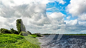 Shannon River with calm waters with green vegetation surrounding it