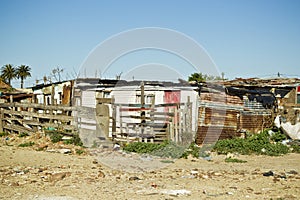 Shanty town corrugated iron houses photo