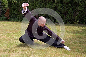 Shaolin Kung Fu Stance