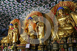 The shaolin temple of Buddha