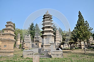 Shaolin Temple Talin