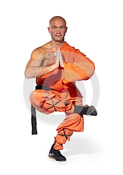 Shaolin warrior monk