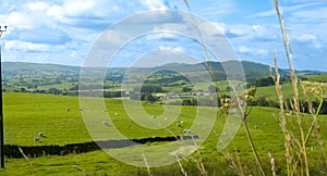 Shap Valley, Cumbria