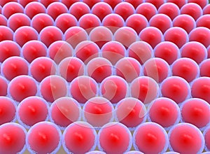 Cocci Shape of bacteria. 3d stem cells. photo