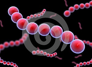 Cocci Shape of bacteria. streptococci type Bacteria. photo