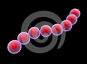 Cocci Shape of bacteria. streptococci type Bacteria.