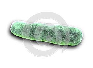 Shape of Bacteria. it is vibrios type category. E coli Bacteria photo