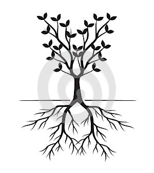 Shape of black Tree with Leaves and Toots. Vector outline Illustration