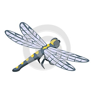 Shape dragonfly icon isometric vector. Insect wing