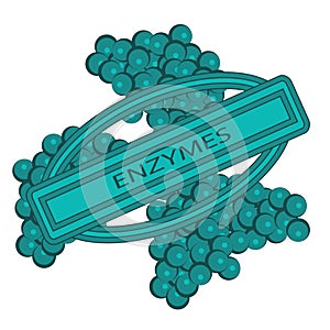 Shape of Enzymes cells vector illustration Closeup view. Digestive biotechnology