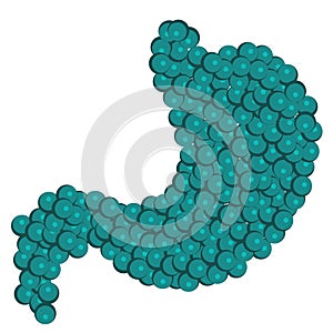 Shape of Enzymes cells vector illustration Closeup view. Digestive system biotechnology