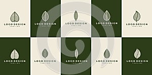 Shape of leaf logo design. leaf logo vector set. Luxury line leaf logo.