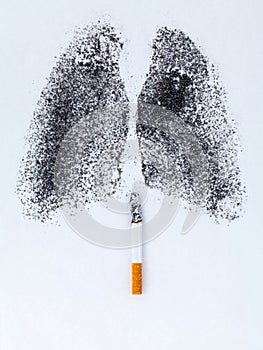 Shape of lungs with charcoal powder