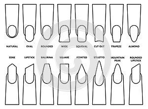 Shape nail vector illustration on white background. Isolated outline set icon fingernail. Vector outline set icon shape