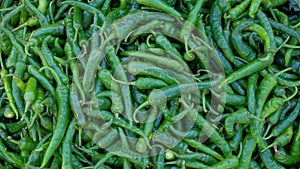 Shape, pattern and texture of large green chilies
