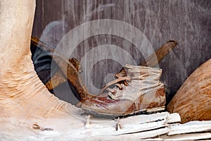 shape of a shoemaker's foot. an old shoe in a shop window. Retro leather shoe and antique shoe hammer in the window of a
