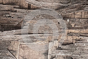 Shape and texture of old decayed wood