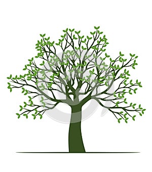 Shape of Tree with Leaves. Vector outline Illustration