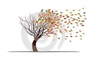 Shape of Tree, wind and falling autumn leaves. Vector outline Illustration. Plant in Garden