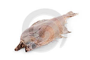 Shaped Flatfish or flounders Pleuronectidae also known as plaice,dab,sole or flukes, isolated on white. Top side