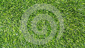 Shapes of Light Green Artificial Grass for Football Fields